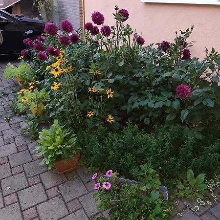 Appartement Lidija Bihać